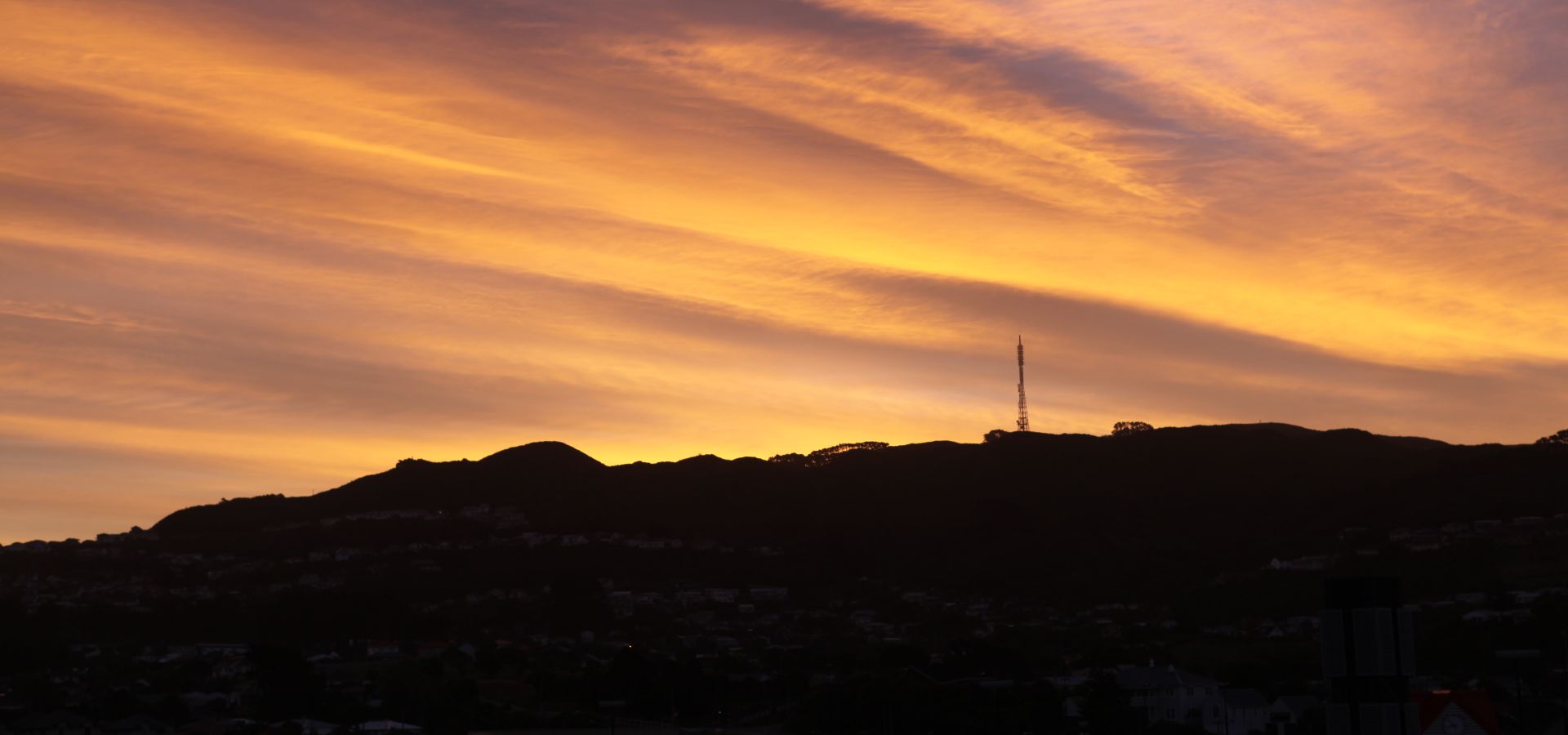 Wellington accommodation